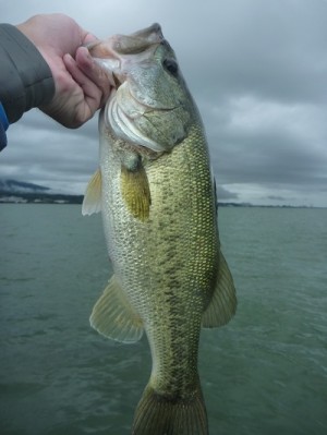 truth news ブログ写真 2012/07/01