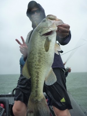 truth news ブログ写真 2012/07/01