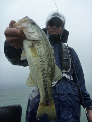 truth news ブログ写真 2012/07/01