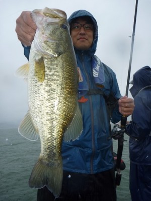 truth news ブログ写真 2012/07/01