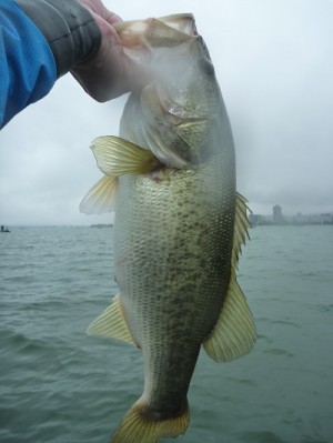 truth news ブログ写真 2012/07/01