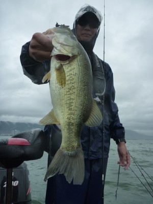 truth news ブログ写真 2012/07/01