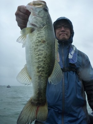 truth news ブログ写真 2012/07/01