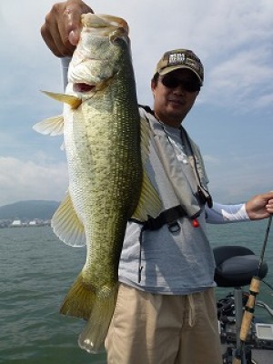 truth news ブログ写真 2012/07/02