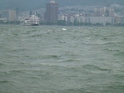 truth news ブログ写真 2012/07/02