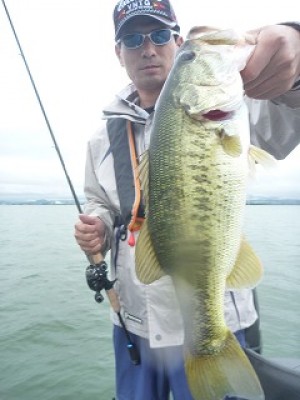 truth news ブログ写真 2012/07/02