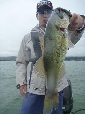 truth news ブログ写真 2012/07/02