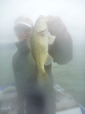 truth news ブログ写真 2012/07/02