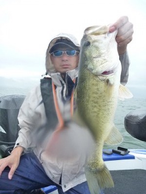 truth news ブログ写真 2012/07/02