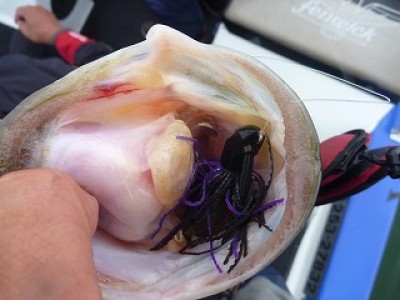 truth news ブログ写真 2012/07/02