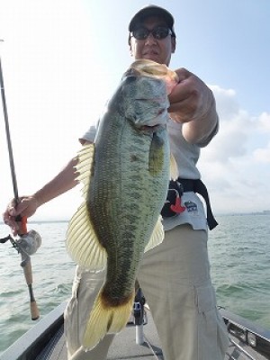 truth news ブログ写真 2012/07/05