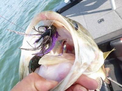 truth news ブログ写真 2012/07/05