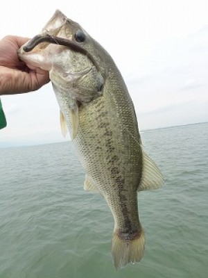 truth news ブログ写真 2012/07/05