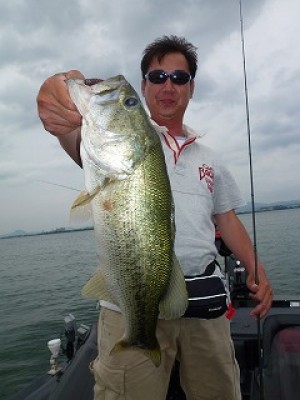 truth news ブログ写真 2012/07/05