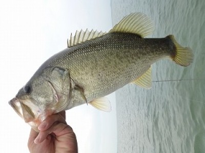 truth news ブログ写真 2012/07/05