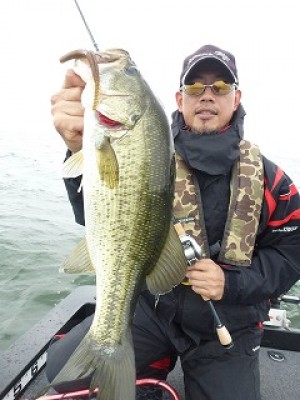 truth news ブログ写真 2012/07/05