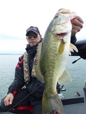 truth news ブログ写真 2012/07/05