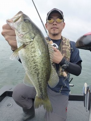 truth news ブログ写真 2012/07/05