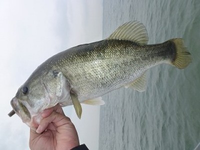 truth news ブログ写真 2012/07/05