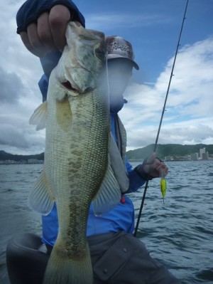 truth news ブログ写真 2012/07/07