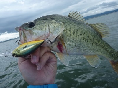 truth news ブログ写真 2012/07/07