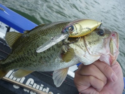 truth news ブログ写真 2012/07/07