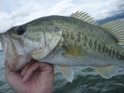 truth news ブログ写真 2012/07/07