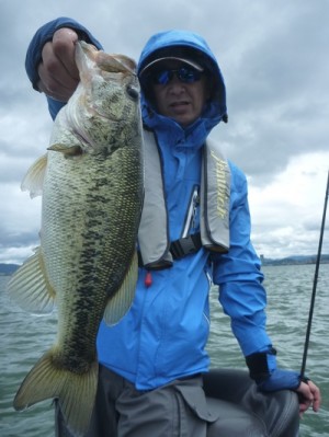 truth news ブログ写真 2012/07/07