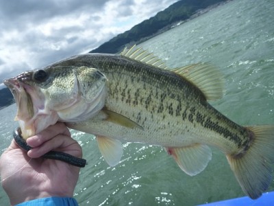 truth news ブログ写真 2012/07/07