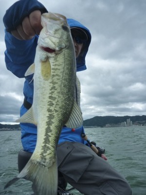 truth news ブログ写真 2012/07/07