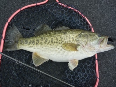 truth news ブログ写真 2012/07/07