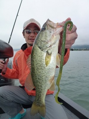 truth news ブログ写真 2012/07/07