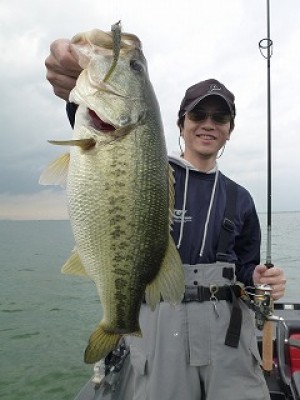 truth news ブログ写真 2012/07/07