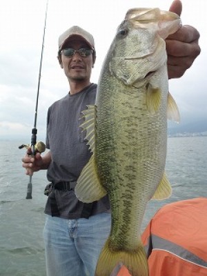 truth news ブログ写真 2012/07/07