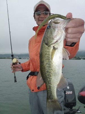 truth news ブログ写真 2012/07/07