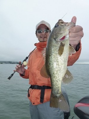 truth news ブログ写真 2012/07/07