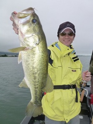 truth news ブログ写真 2012/07/07