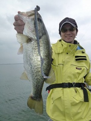 truth news ブログ写真 2012/07/07