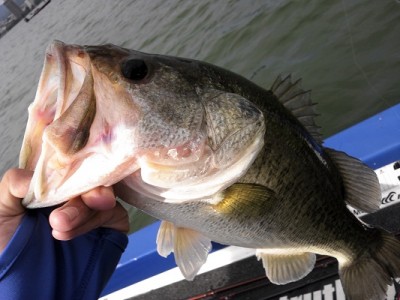 truth news ブログ写真 2012/07/08