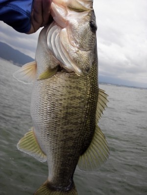 truth news ブログ写真 2012/07/08