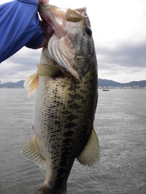 truth news ブログ写真 2012/07/08