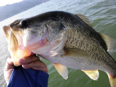 truth news ブログ写真 2012/07/08