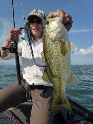 truth news ブログ写真 2012/07/09