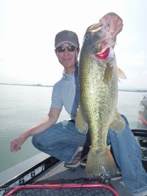 truth news ブログ写真 2012/07/10