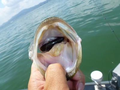 truth news ブログ写真 2012/07/10