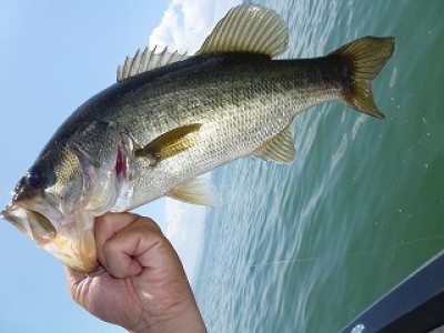 truth news ブログ写真 2012/07/10