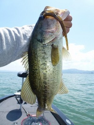 truth news ブログ写真 2012/07/10