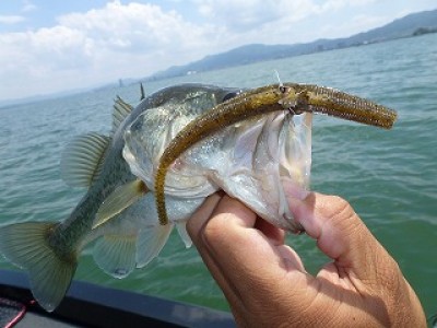 truth news ブログ写真 2012/07/10