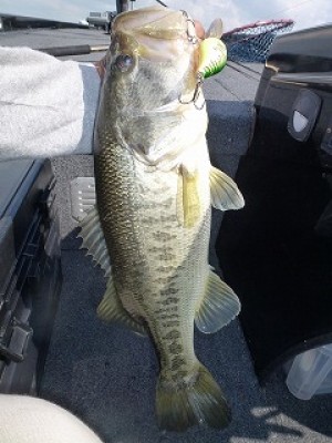 truth news ブログ写真 2012/07/10