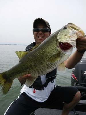 truth news ブログ写真 2012/07/13